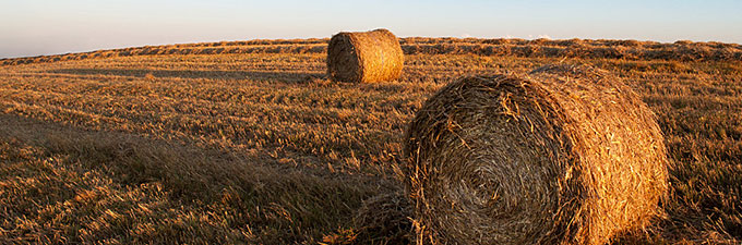 Licenciatura en Administración Agraria