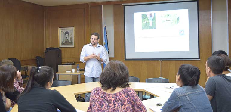 Experiencia sobre propiedades medicinales de las plantas típicas brasileñas