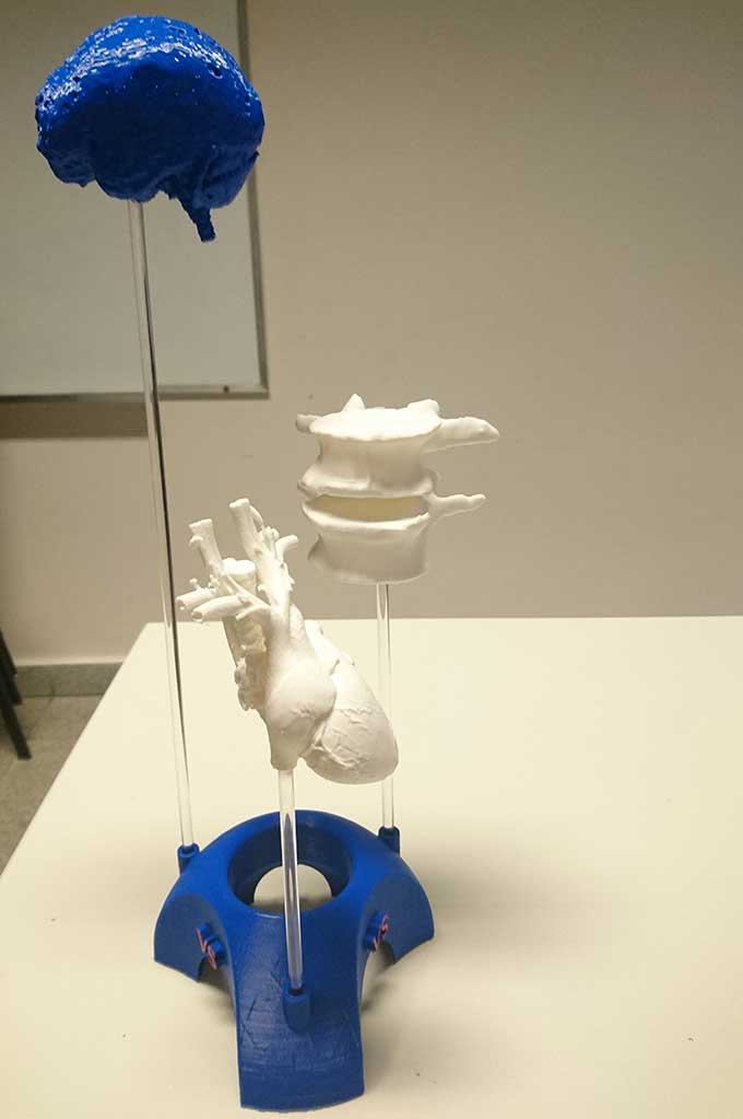 Seminario de impresión 3D: huesos y órganos