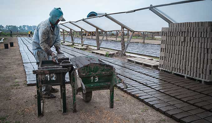 Documental Ladrilleros En Festival De Cine Y Video Científico Del Mercosur