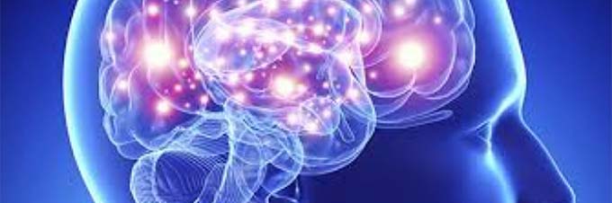 Maestría En Neurociencias