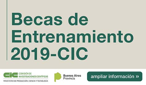 Becas De Entrenamiento 2019-CIC