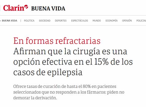 Entrevista A Silvia Kochen En Clarín