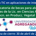 Convocatoria De Becas Para Alumnos Regulares De La Licenciatura En Ciencias Agrarias O De La Tecnicatura En Producciones Vegetales Intensivas – Programa TIC En Aplicaciones De Interés Social