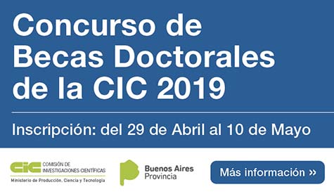 Concurso De Becas Doctorales CIC