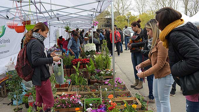 La Feria De Productores Periurbanos De La UNAJ, Entre Los Principales Proyectos Socio-ambientales De América Latina