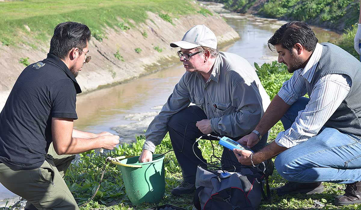 Investigación UNAJ