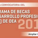 Abierta La Convocatoria Del Programa De Becas De Desarrollo Profesional (PBDP) De OEA
