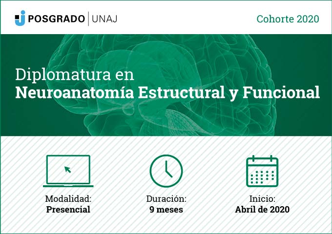 Diplomatura Superior en Neuroanatomía Estructural y Funcional