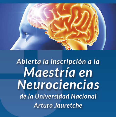 Abierta La Inscripción A La Maestría De Neurociencias