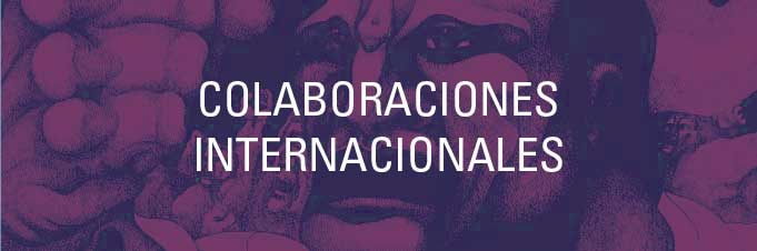 Colaboraciones Internacionales