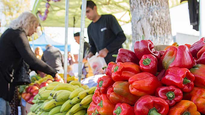 Docentes Y Estudiantes Participaron En Protocolo Para La Prevención Del Contagio Del Virus Covid 19 En La Agricultura Familiar