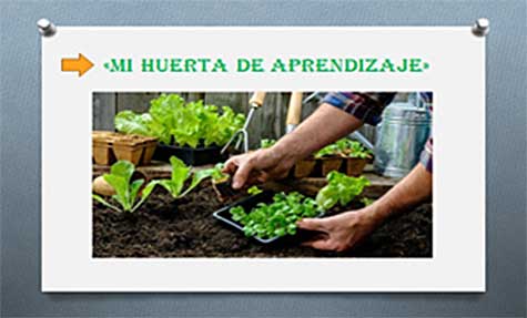 Mi huerta de aprendizaje