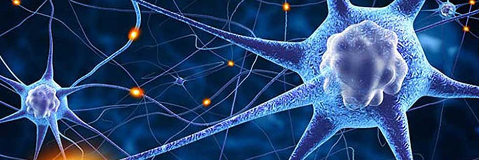 Diplomatura Superior En Epilepsia