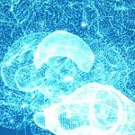 Neurociencias De Sistemas