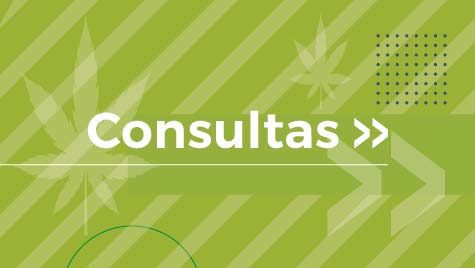 Consultas