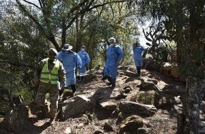 Institucionalizar la experiencia del Voluntariado para fortalecer la vinculación territorial en salud