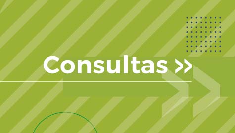 Consultas