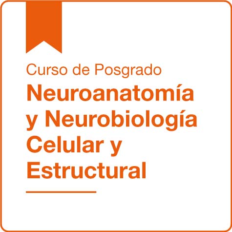 Curso de Posgrado "Neuroanatomía y Neurobiología Celular y Estructural"