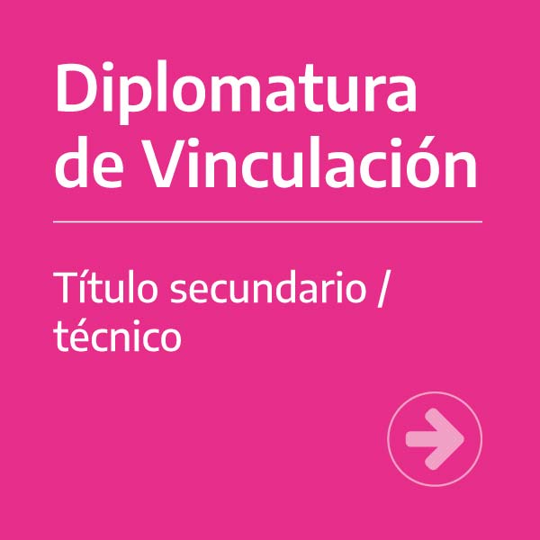 Diplomatura de Vinculación (título secundario / técnico)