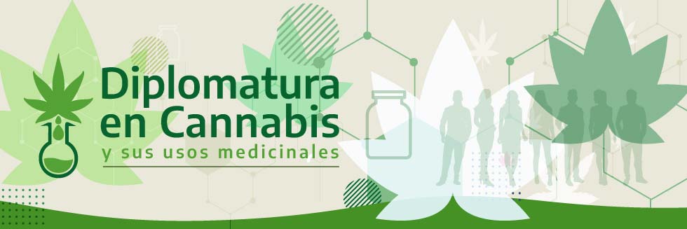 Diplomatura de Vinculación en Cannabis y sus usos medicinales