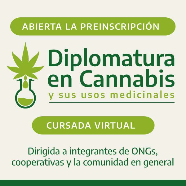 Diplomatura en Cannabis y sus usos medicinales | Abierta la inscripción | Cursada virtual