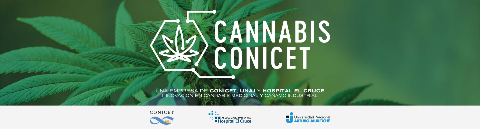 Cannabis CONICET | Una empresa de CONICET, UNAJ y Hospital El Cruce | Innovación en cannabis medicinal y cáñamo industrial