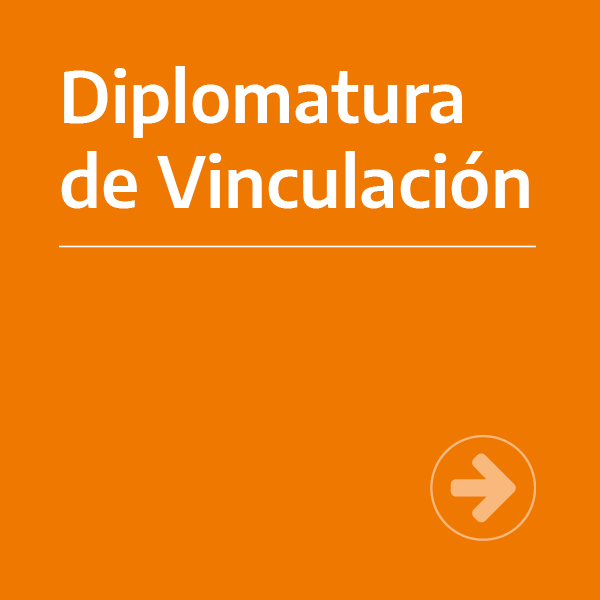 Diplomatura de Vinculación