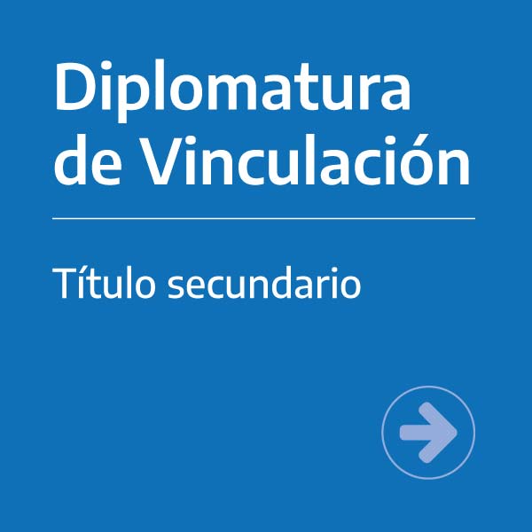 Diplomatura de Vinculación