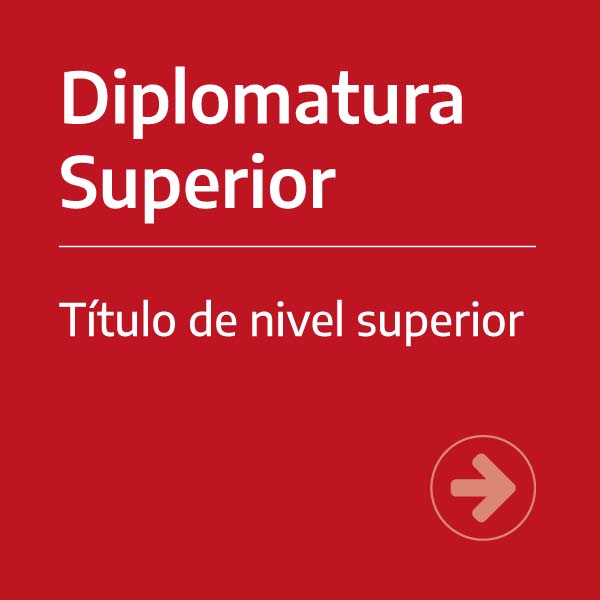 Diplomatura Superior